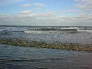 Plage de Malo-les-Bains