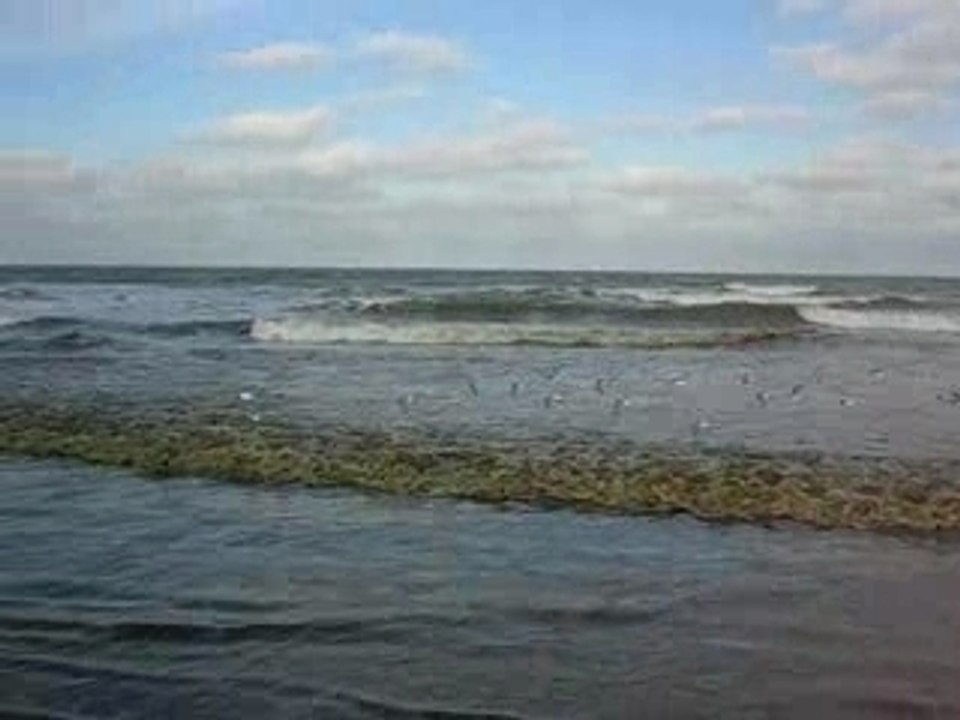 Plage de Malo-les-Bains