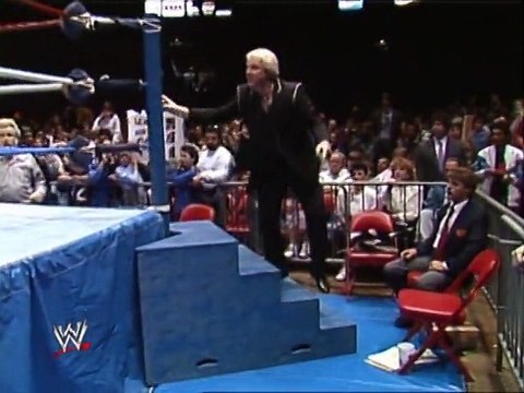 WWF 1989 - Andre The Giant Vs. The Ultimate Warrior