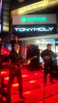 «Can't Help Falling in Love» А.Бон (Москва, ТРК «Vegas», 26.12.2015) (Светлана Грибакина)