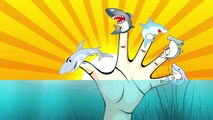 Finger Family (SHARK Family) | Surprise Eggs Animation | Nursery Rhymes | Songs for Childr