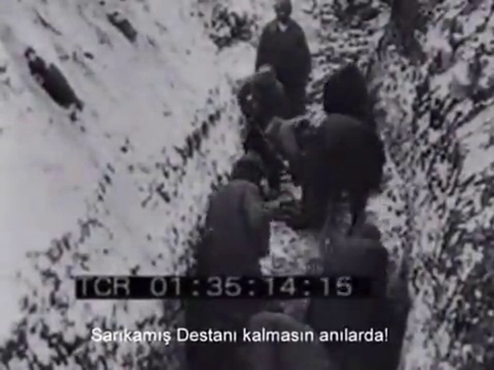 Sarı kamış