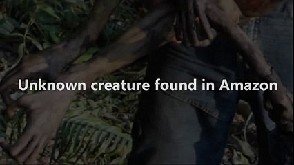 Unknown Creature Found in Amazon - What's This-