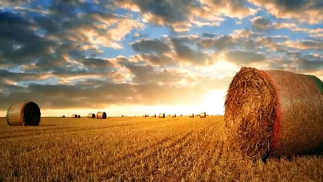 15 Minute Meditation Music Relax Mind Body: Nature Sounds, Healing Music, Relaxing Music ✿2455C (World Music 720p)