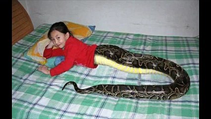 Snake Girl  REAL OR FAKE