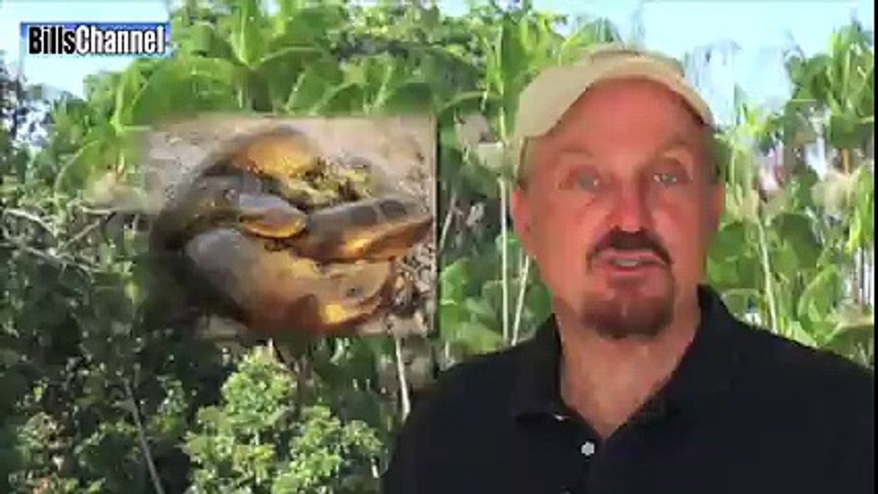 EPIC ANACONDA FIGHTS SOLDIERS!