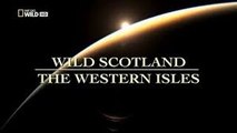 Wild discovery animals channel Scotland The Western Isles Nat Geo WILD Wildlife documentar