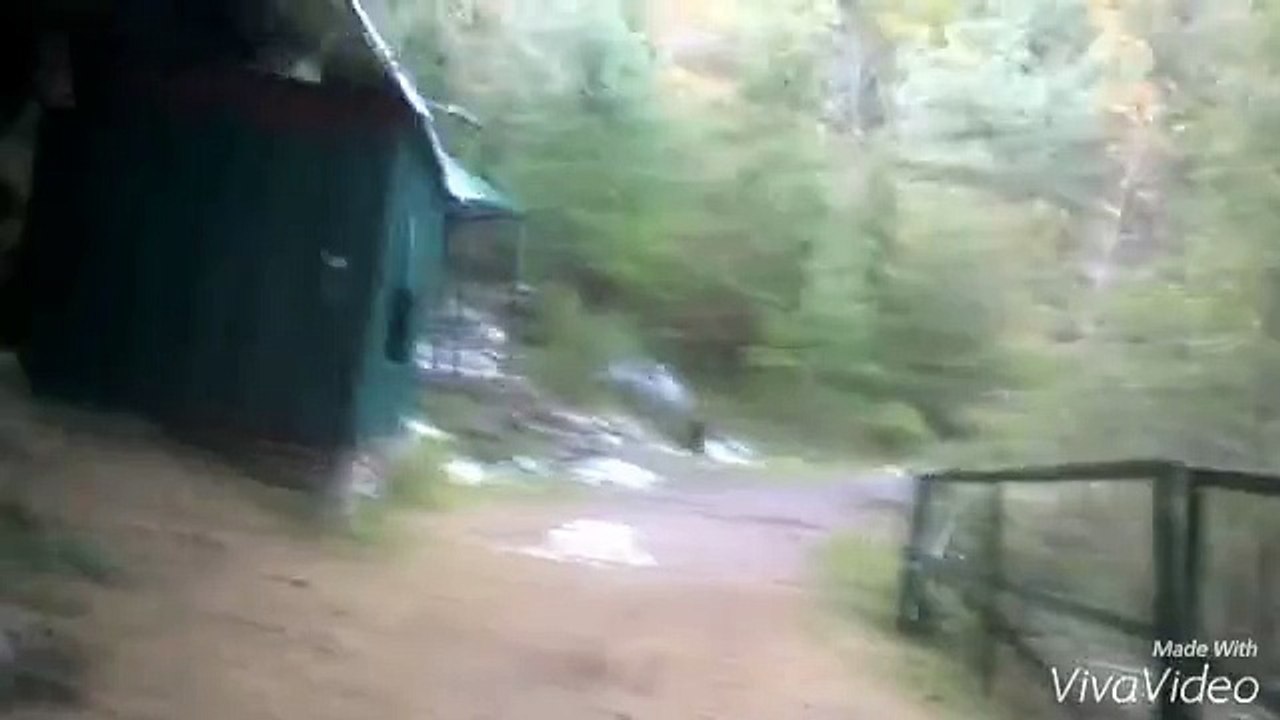 Ayubia Track .2/2