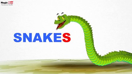 Desert Animals - Pre School - Learn English Words (Spelling) Video For Kids and Toddlers