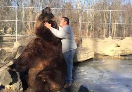 Giant Grizzly Bear Shows Softer Side Playing With Carer