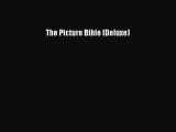 [PDF Download] The Picture Bible (Deluxe) [PDF] Full Ebook