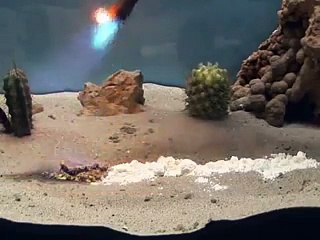 Firavun'un Yılanı'nın Gizemi - Çok Şaşıracaksınız Yok Böyle