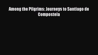 Among the Pilgrims: Journeys to Santiago de Compostela [Read] Online