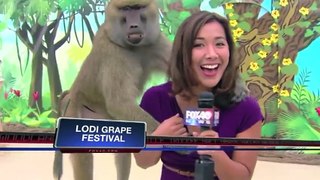 BEST NEWS BLOOPERS 2013(1)