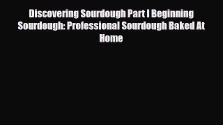 PDF Download Discovering Sourdough Part I Beginning Sourdough: Professional Sourdough Baked