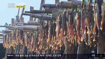 2TV 아침 1부.E270.160113.HDTV.XviD-WITH