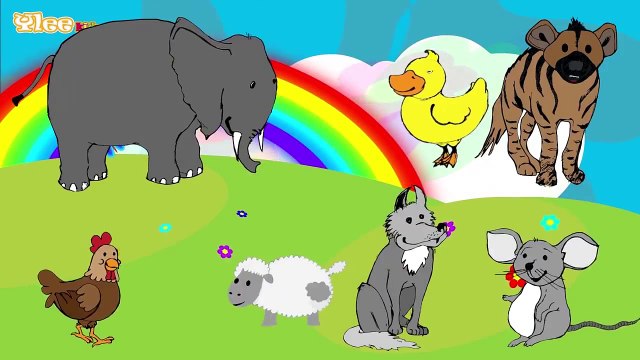 Sounds of the Animals Die Lieder der Tiere Zweisprachiges Kinderlied Yleekids