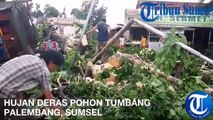 Dua Mobil dan Tiga Motor Tertimpa Pohon Tumbang