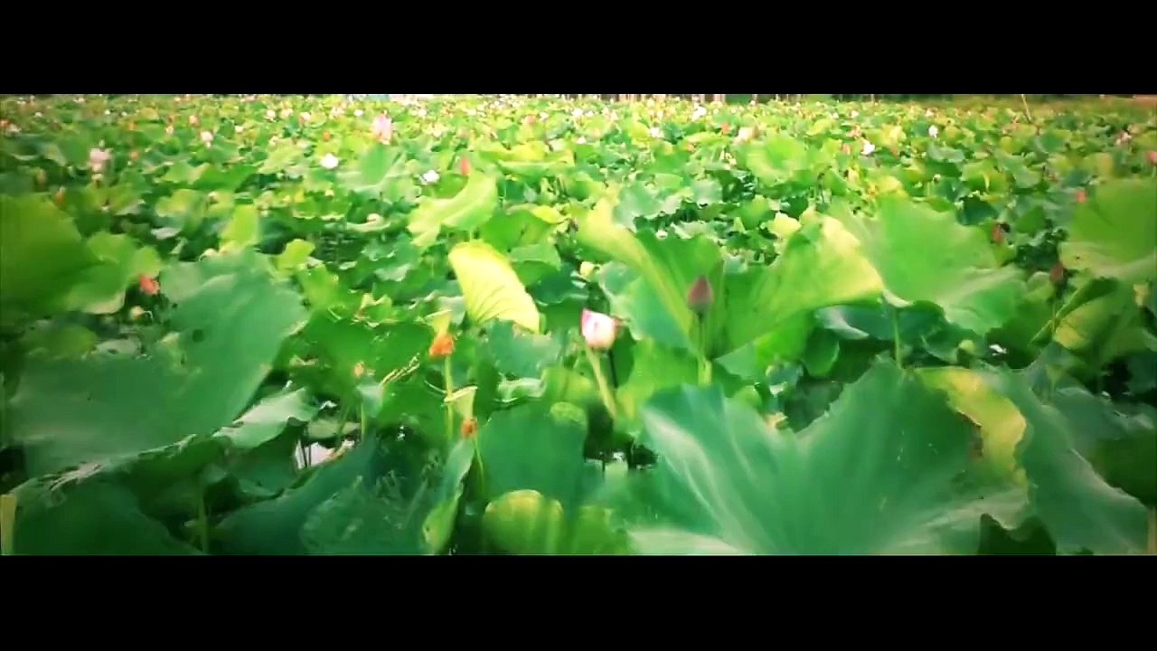 [Element Cams] - [Skyview VietNam] - Part 15: Over around Việt Nam