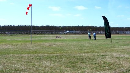 RC SBACH 342 MODEL PLANE 3D AEROBATICS / Meeting Finowfurt May 2016 *1080p50fpsHD*