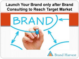 Launch Your Brand Only After Brand Consulting To Reach Target Market