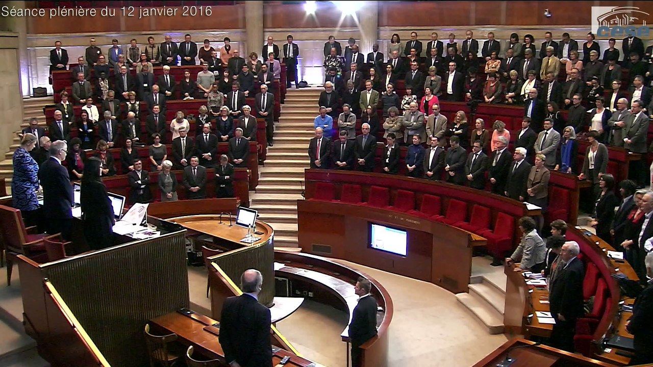12-01-2016 : Séance plénière - Orientations stratégiques et gouvernance du CESE