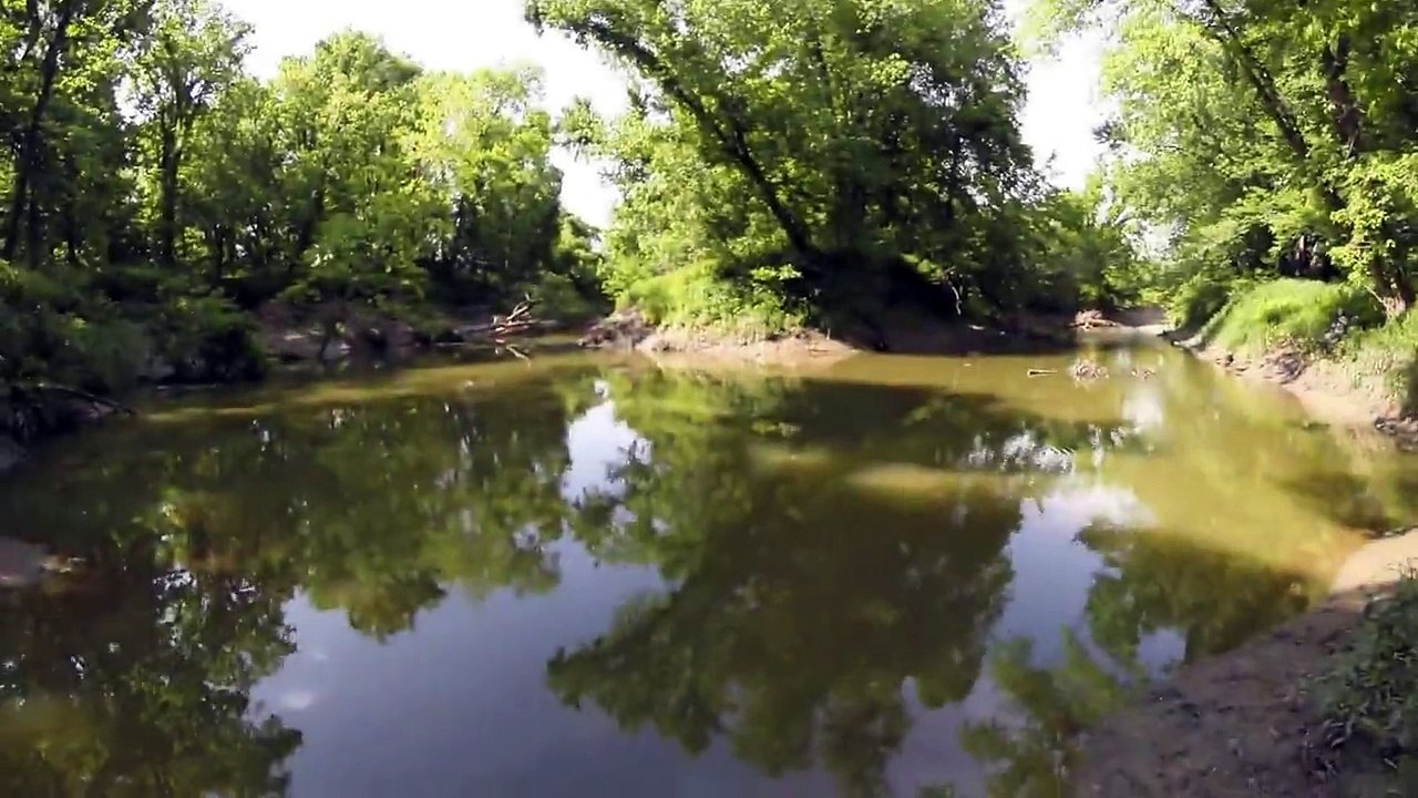 Multispecies Creek Fishing - Largemouth Bass, Striped Bass, Channel Catfish, Freshwater Drum