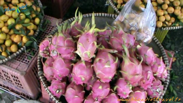 Visite du marché en route de Hanoi à Mai Chau | Voyage au Vietnam