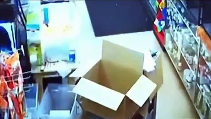 Man caught on camera stealing snake into his pants in Portland at a pet shop