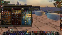 WoW Cataclysm Prot Warrior Tank Guide Patch 4.1