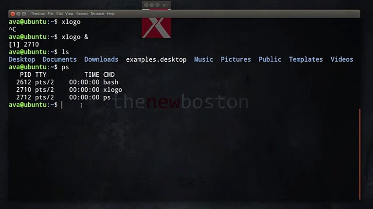 Linux Tutorial for Beginners - 23 - Jobs and Kill Process (1024p FULL HD)