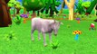 Animals Sounds For Children Learn Sounds Of Zoo Animals For Children Kids And Babies