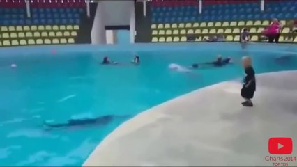 Amazing dolphins playing with kids