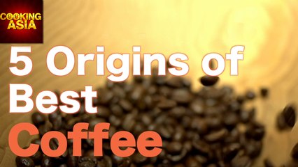 5 Best Coffee Beans And Their Origins | Cooking Asia