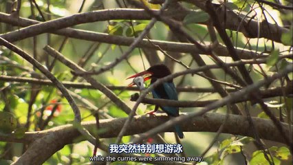 BBC Rick Stein From Venice To Istanbul E02