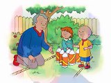 Caillou - Bolos en el patio - Dibujos Infantiles Español - Solo Caillou