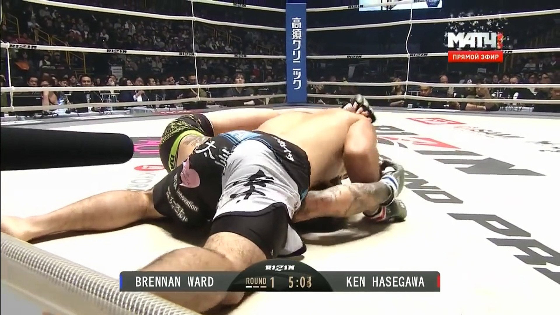 ⁣Спорт, смешанные единоборства Rizin FF 1 Mixed Martial Arts.