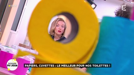 Dossier du Jour : Papiers, cuvettes: le meilleur pour nos toilettes !