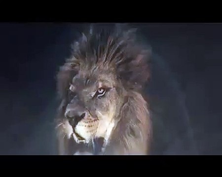 ACTOR Faisal Qureshi SUPPORTS Karachi Kings ~ Pakistani SUPER LEAGUE 2016