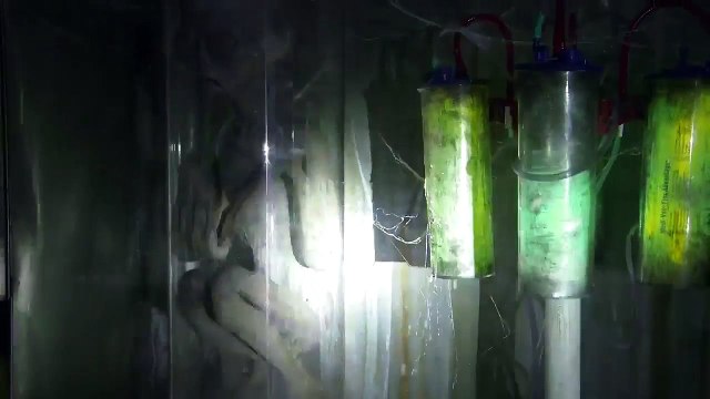 X-Files : l'énorme parodie de Jimmy Kimmel avec Mulder et Scully