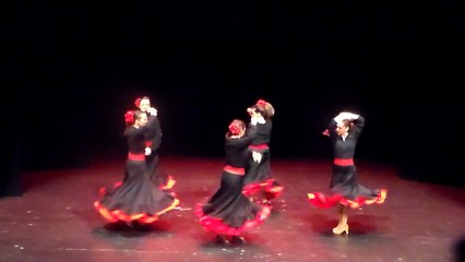 GYM ROCA SPORT FLAMENCO