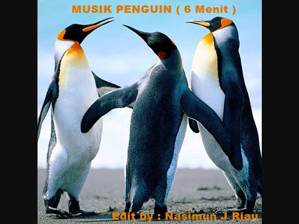 Pinguin Music