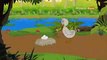 Ugly Duckling - Fairy Tales In English - Animated _ Cartoon Stories For Kids - YouTube