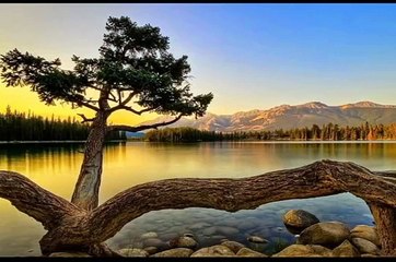 Qabar ka jhatka  bayan by Maulana Tariq Jameel