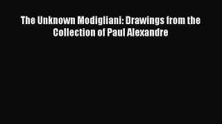 PDF Download The Unknown Modigliani: Drawings from the Collection of Paul Alexandre Read Full