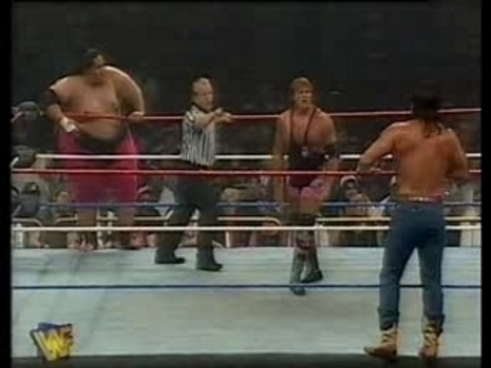 Th. 1 - In Your House Mai 14, 1995 PT. 5/9