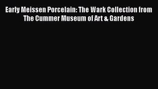 [PDF Download] Early Meissen Porcelain: The Wark Collection from The Cummer Museum of Art &