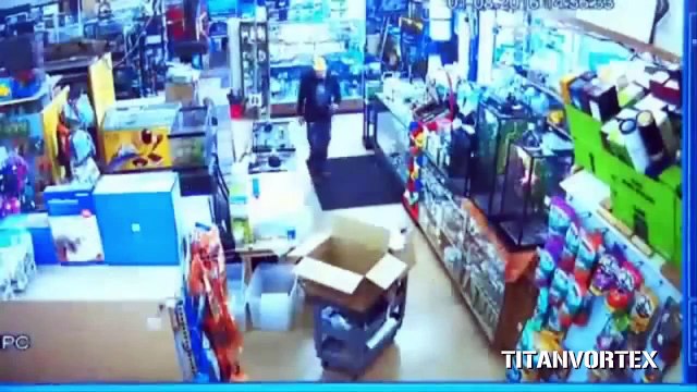 Il vole un python royal en le cachant dans son pantalon