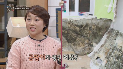 오래된 집의 단골손님 ′곰팡이′ 박멸 비법은? ′불쇼′