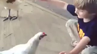 a hen hugs a child